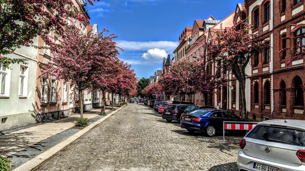 Apartment Gäste Und Gläser